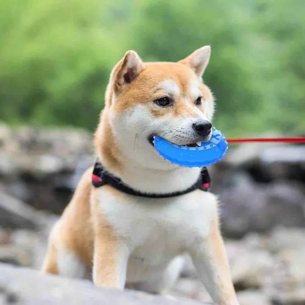 Pet Teether Cooling Chew Toy for Dogs and 2 Puppy KONG Natural Teething Rubber